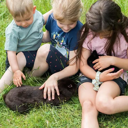 Henn 아파트 바이케르하임