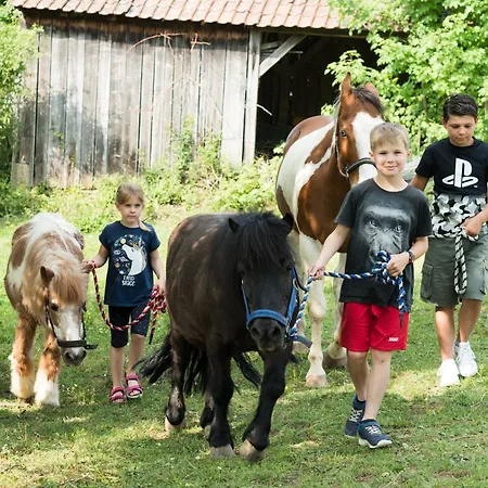 Henn 아파트 바이케르하임